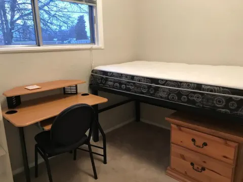 College Avenue Apartments photo 3