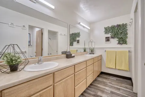 Delta Phi Apartments photo 5